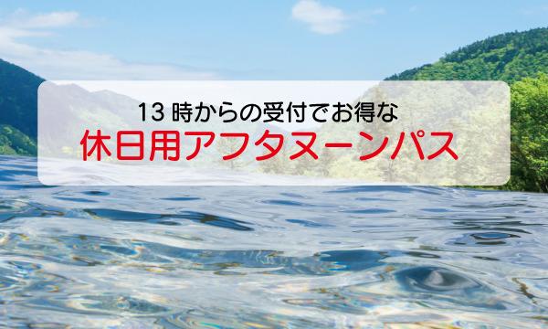 藤田観光株式会社の【HP限定割引（通常チケット）】13時からお得なアフタヌーンパス（土日祝）イベント