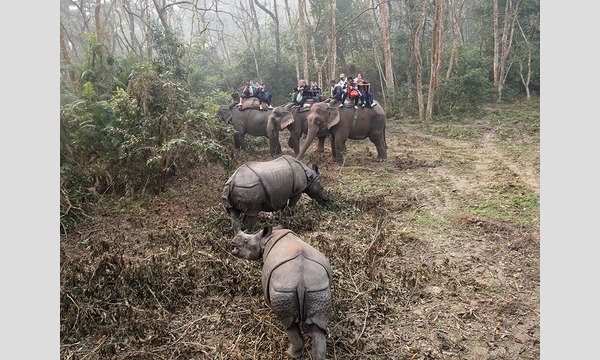 10月31日（土）開催 オンライン講座シャプラバ！「ヒマラヤからジャングルまで！ネパールの歩き方」 イベント画像3