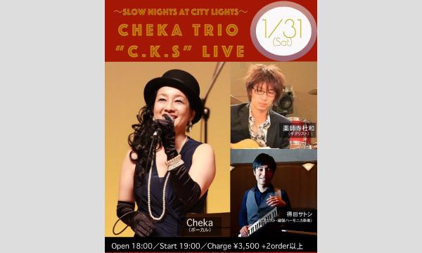 ～Slow Nights at City Lights～ Cheka Trio “C.K.S” LIVE in埼玉イベント