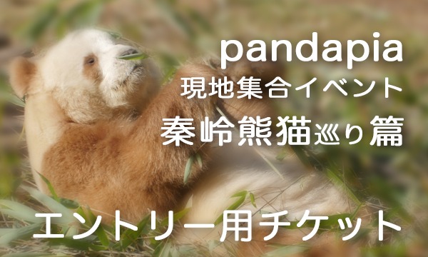 pandapia現地集合イベント『秦岭熊猫巡り』篇　エントリー用（会員向け）