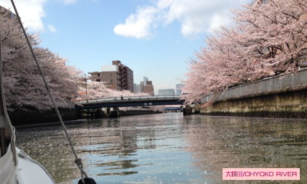 NPO法人あそんで学ぶ環境と科学倶楽部事務局の4/8　日本橋発！　花筏クルーズ大横川　第2便イベント