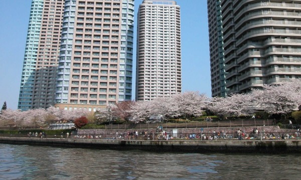 3/25　晴海発！　隅田川さくらクルーズ第1便 イベント画像3