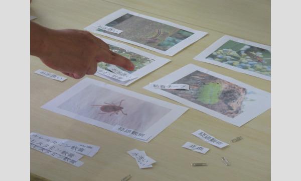 【再販 14時～】5/23（日）危険生物オンラインセミナー ～様々な生き物による『受傷の種類』と『応急処置』 イベント画像2
