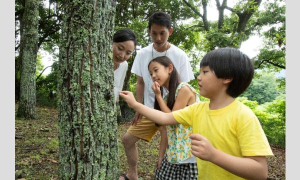 カブトムシ狩り体験イベント「カブトムシ探検隊」 イベント画像2