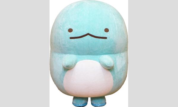 すみっコぐらし「とかげ」がやってくる！お写真撮影会 イベント画像1