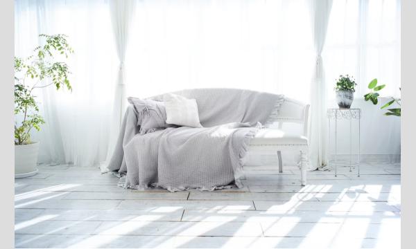 12/20天音惰眠撮影会